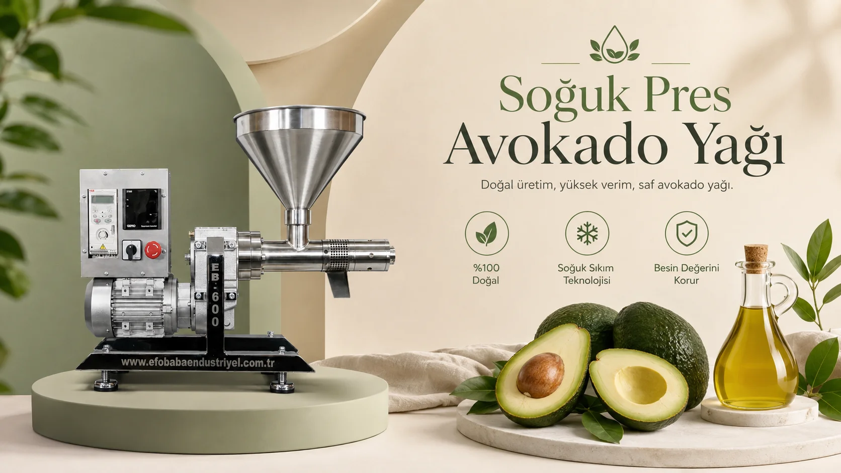 Endüstriyel avokado yağı üretim projesinde mekanik pres ve besleme sistemi
