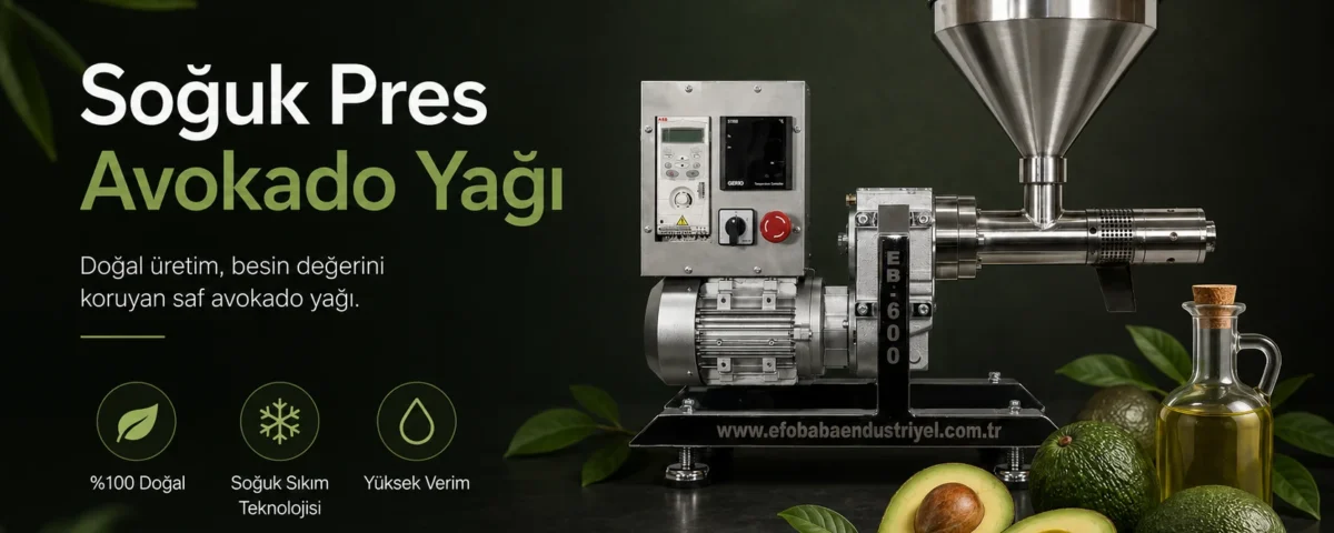 Soğuk Pres Avokado Yağı