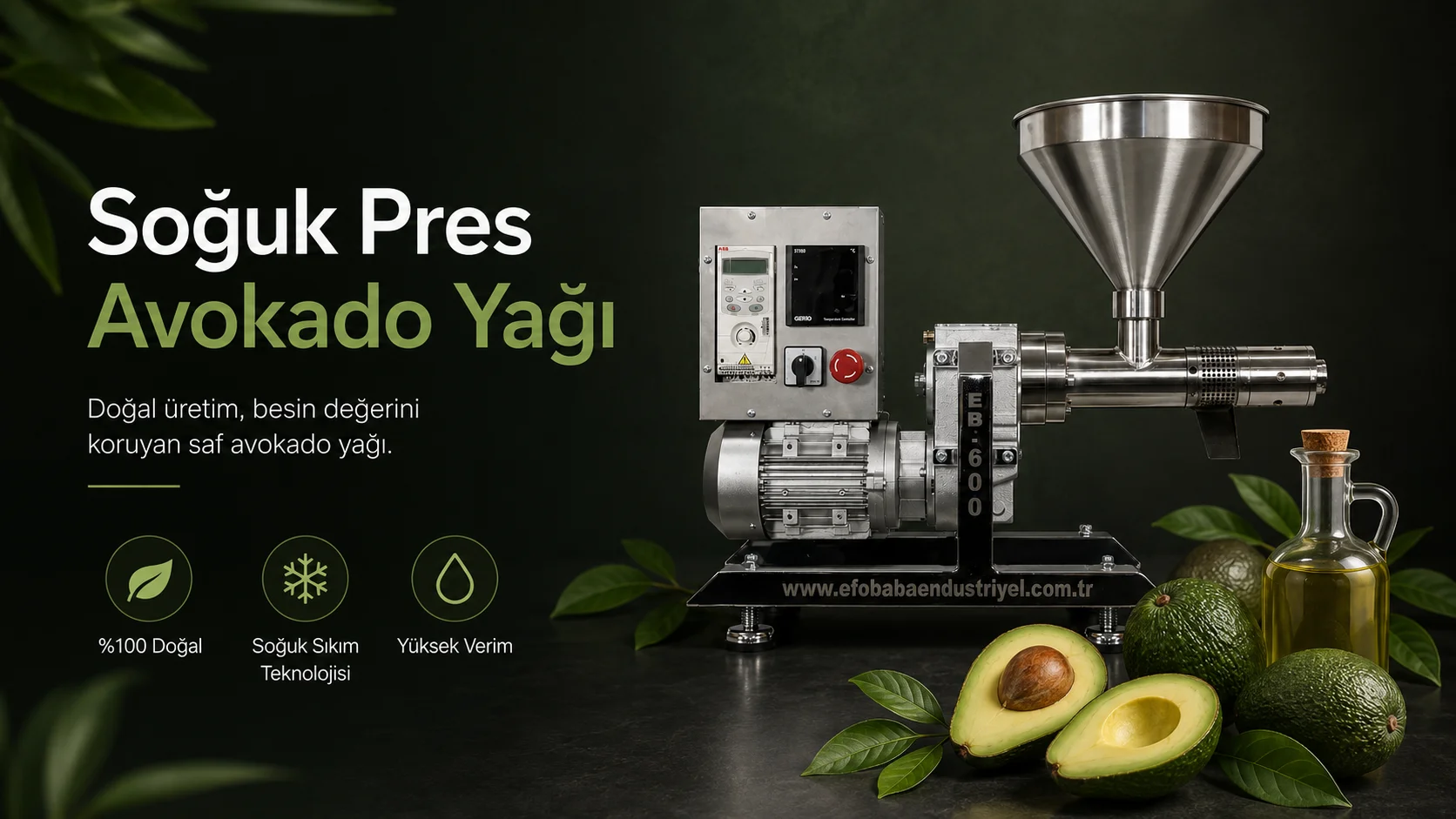 Kurutulmuş avokado pulpu için deneme yapılabilecek EB-600 mekanik yağ presi