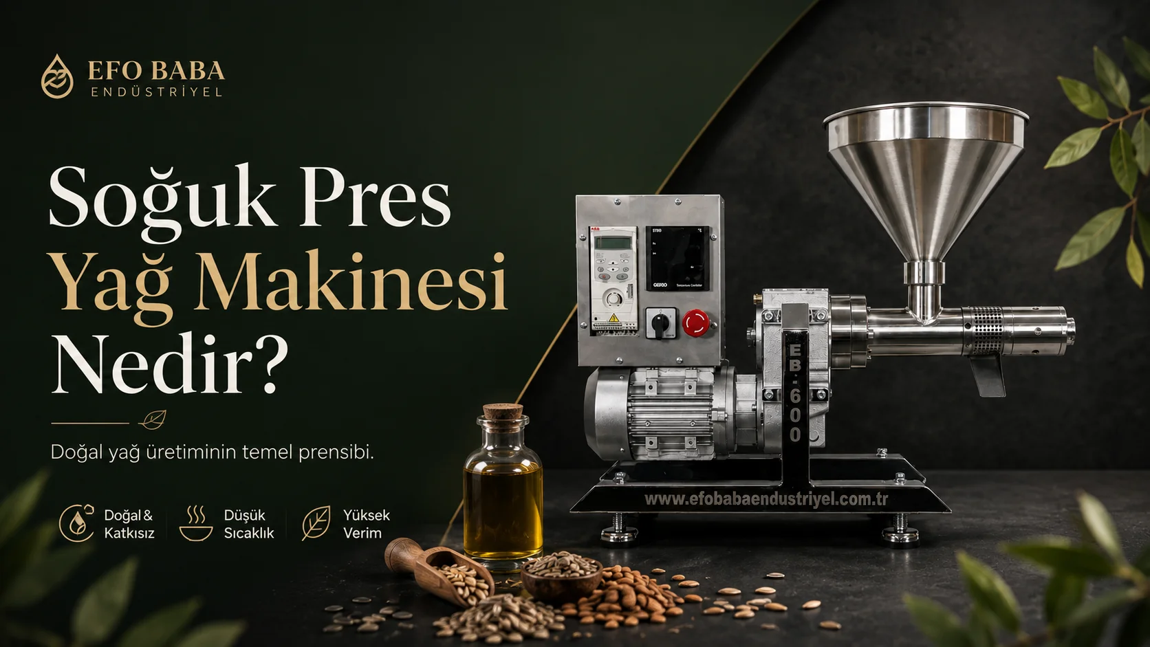 EB-600 kompakt soğuk pres yağ makinesi